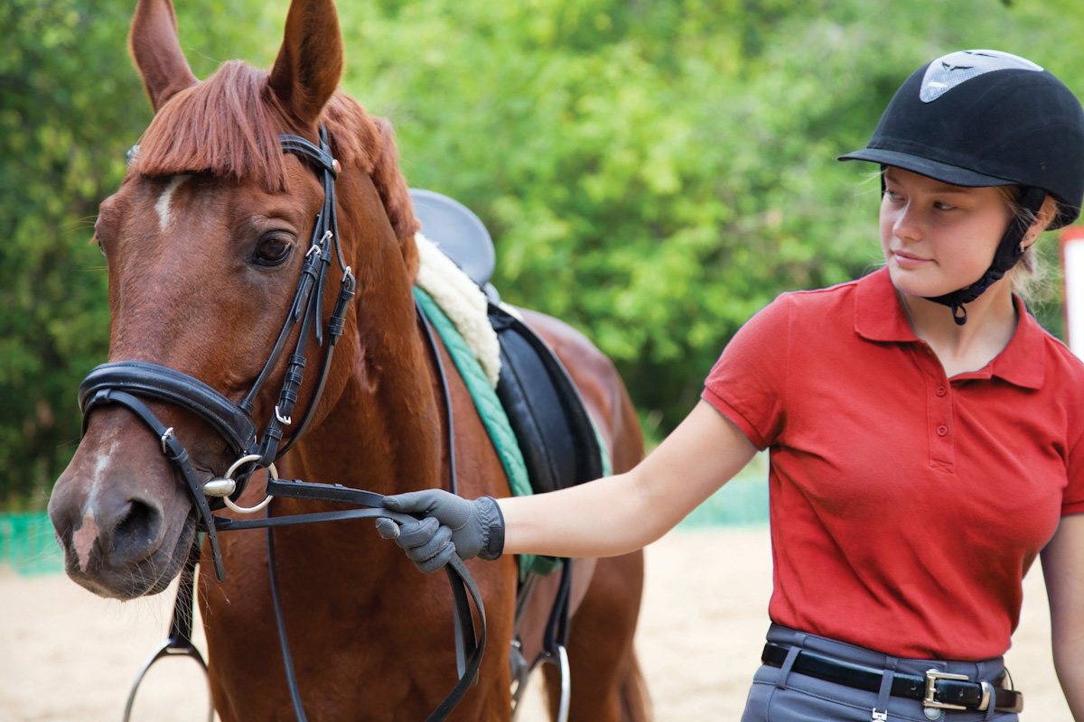 Things to Consider When Buying Riding School/Equestrian Things to Consider When Buying Riding School/Equestrian